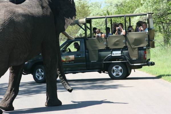 Cape Town to Johannesburg via Victoria Falls and Kruger Tour