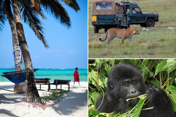 Gorillas, Serengeti and Zanzibar Budget Camping Safari