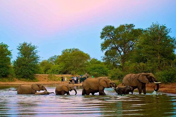 3 Day Kruger Park Bungalow Safari