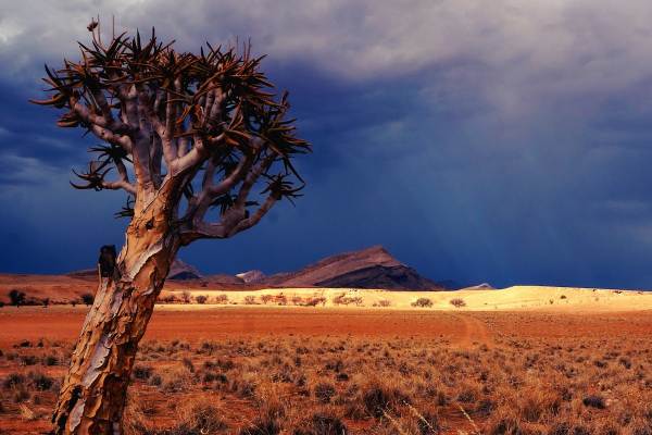 Namibia Camping Tour - Cape Town to Windhoek