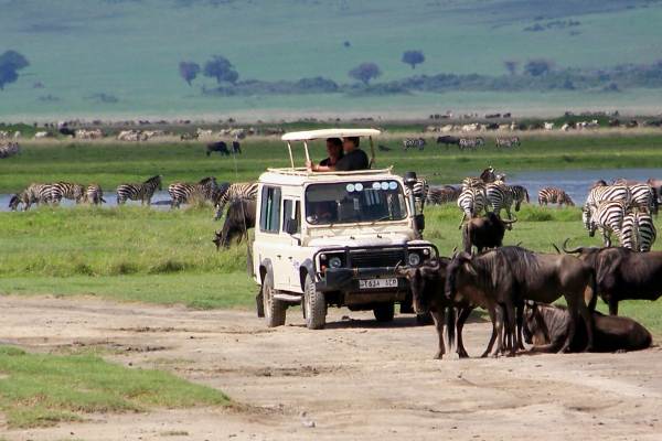 Kenya and Tanzania Safari Package