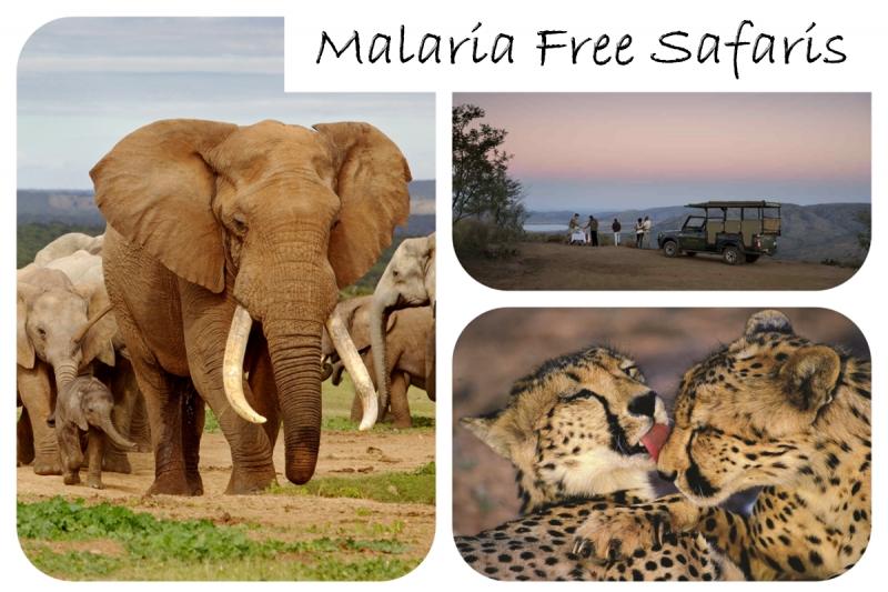 Malaria Free Safaris in South Africa